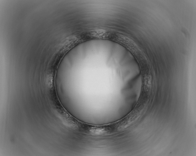 X0000112080602200908181243