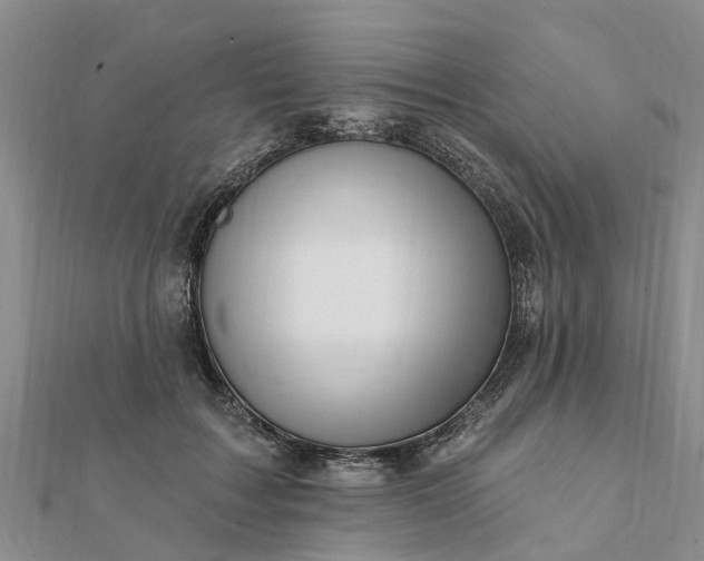 X0000112080603200908181243