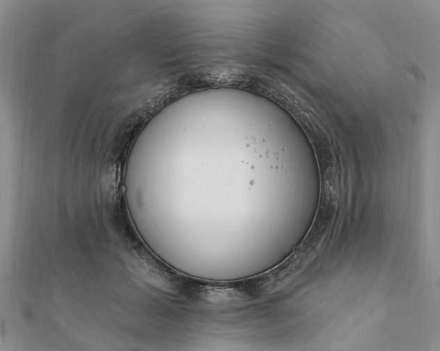 X0000112080605200908181243