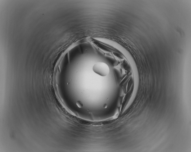 X0000112080606200908181243