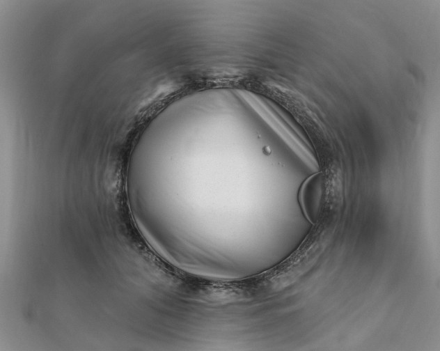 X0000112080608200908181243