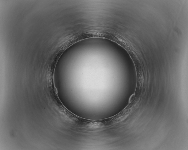 X0000112080609200908181243