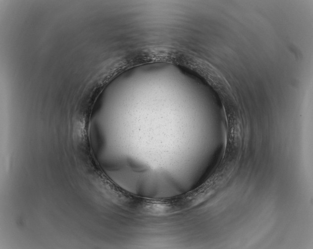 X0000112080610200908181243