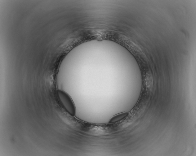 X0000112080611200908181243