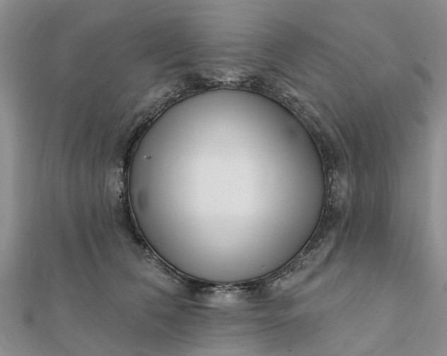 X0000112080612200908181243