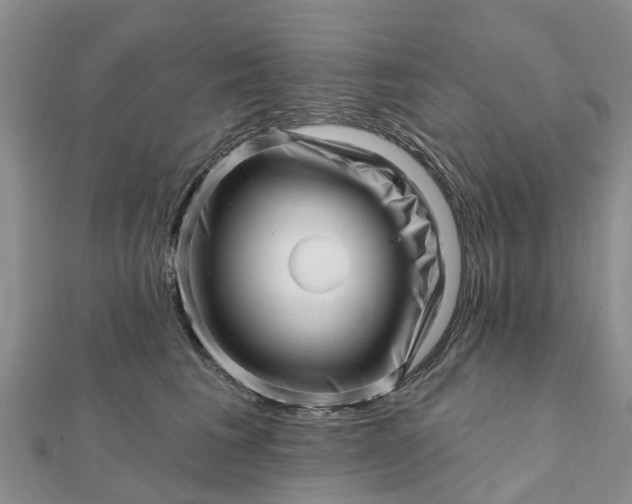 X0000112080613200908181243