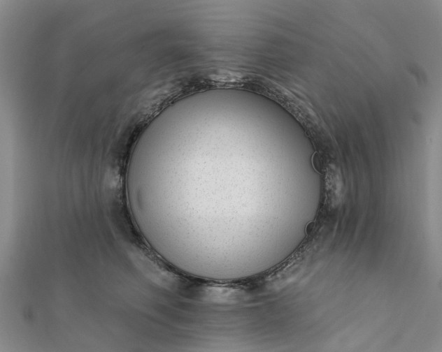 X0000112080614200908181243