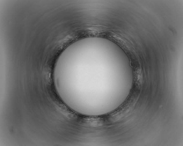 X0000112080615200908181243