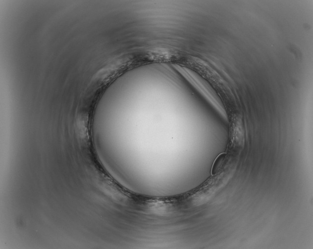 X0000112080616200908181243