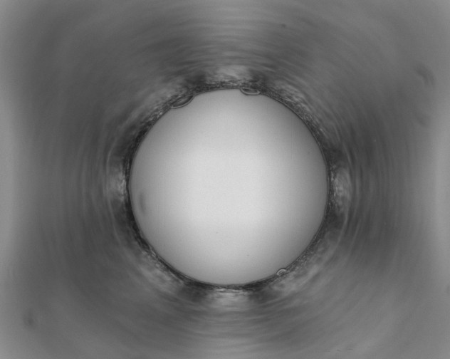 X0000112080617200908181243