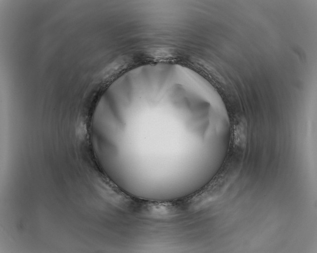 X0000112080618200908181243