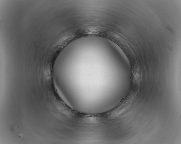 X0000112080620200908181243