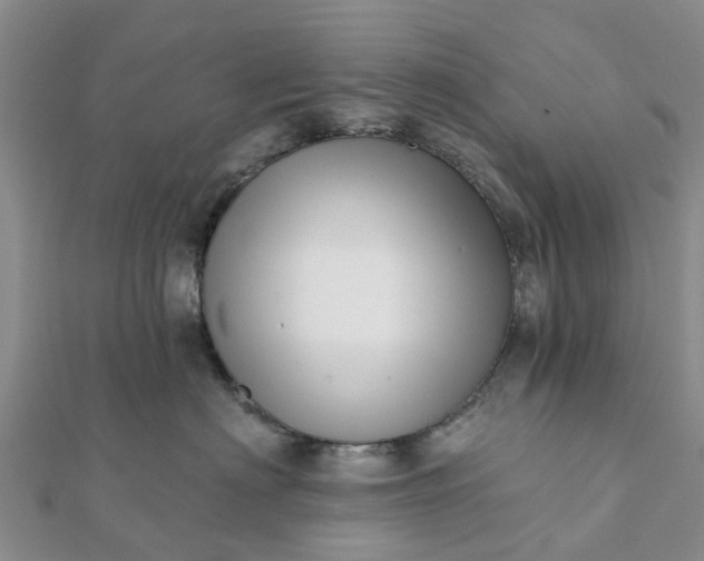 X0000112080622200908181243