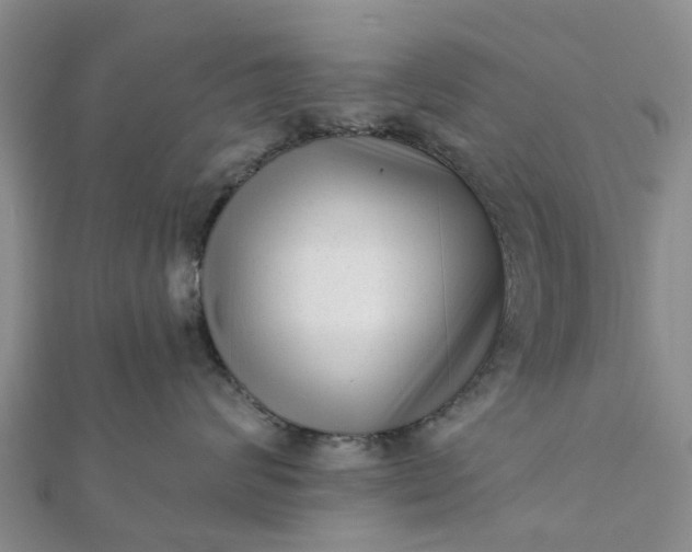 X0000112080624200908181243