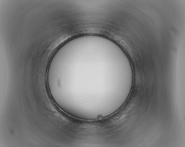 X0000112080625200908181242