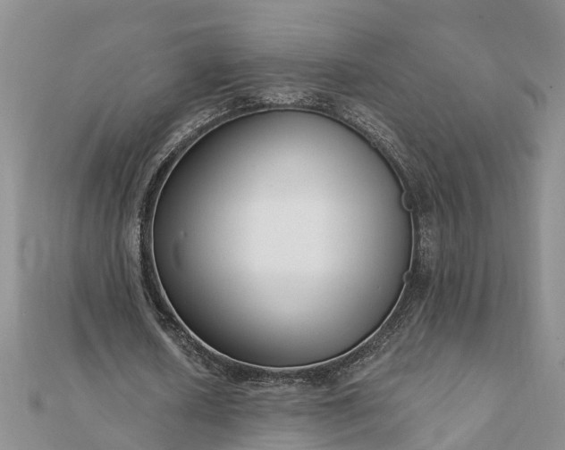 X0000112080626200908181242