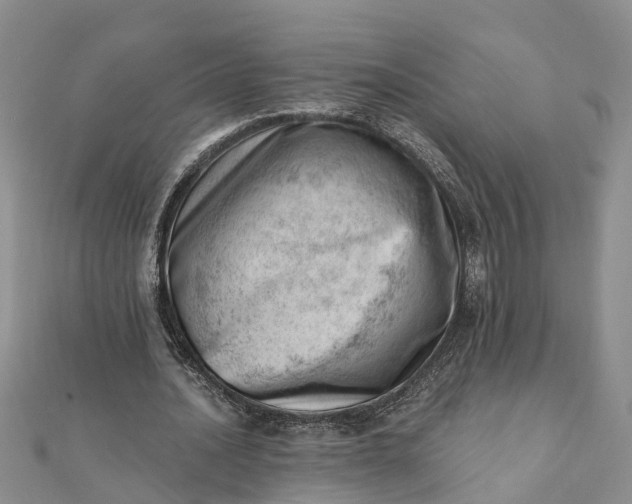 X0000112080628200908181242