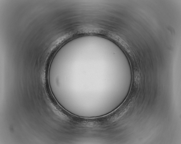 X0000112080629200908181242