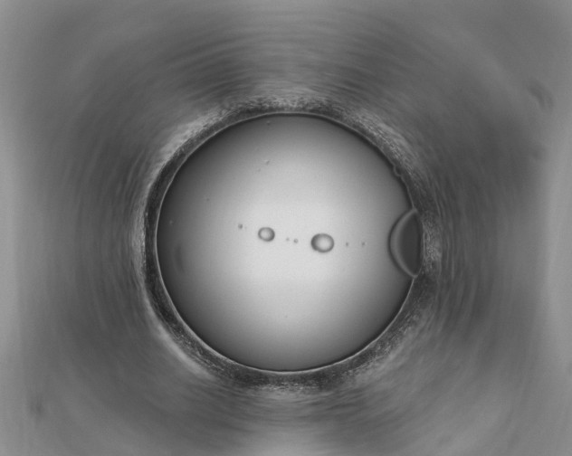 X0000112080630200908181242