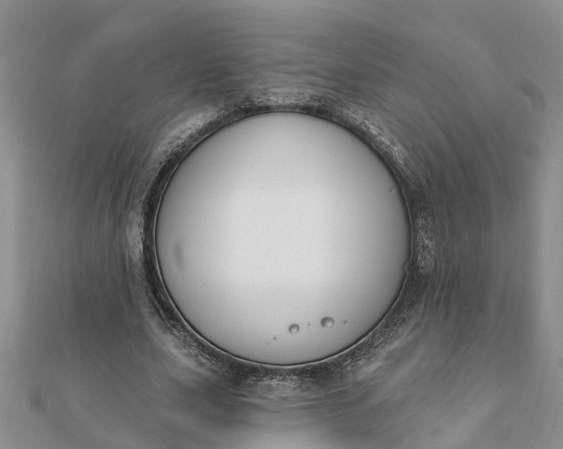 X0000112080631200908181242