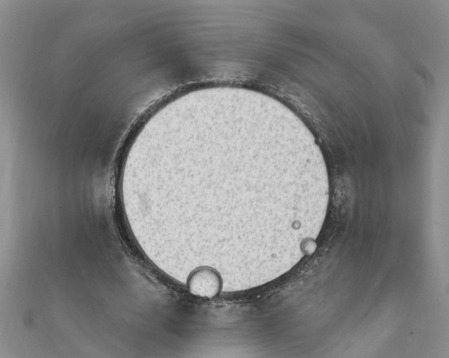 X0000112080632200908181242