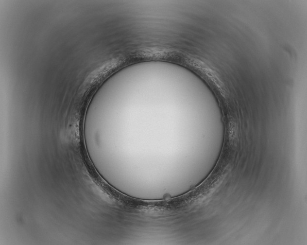 X0000112080633200908181242