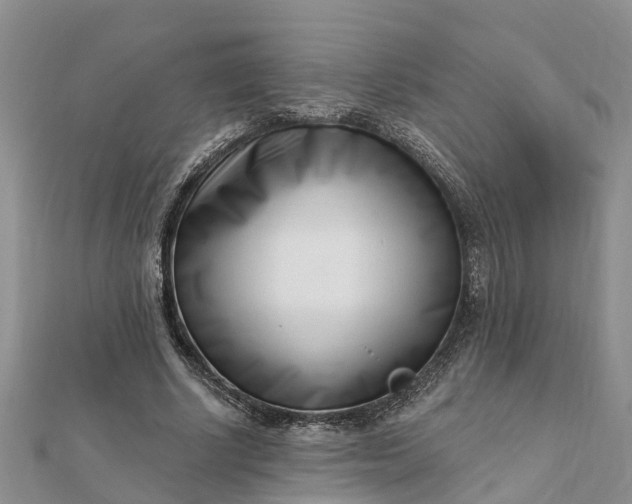 X0000112080634200908181242