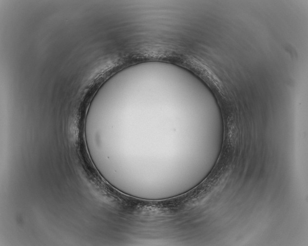 X0000112080635200908181242