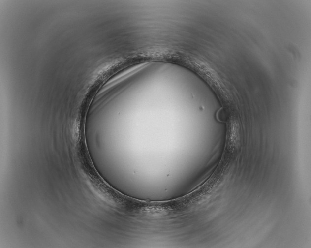 X0000112080636200908181242