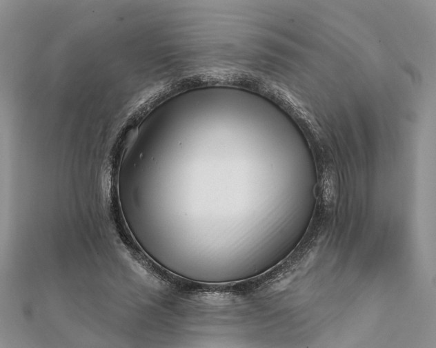 X0000112080637200908181242