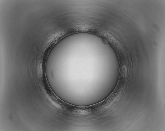 X0000112080638200908181242