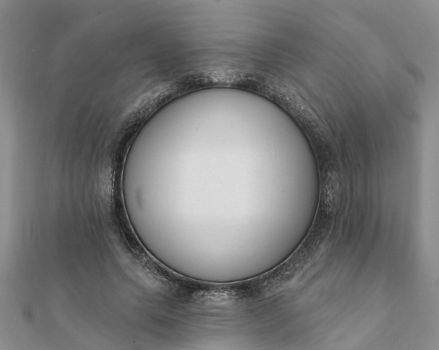 X0000112080639200908181242