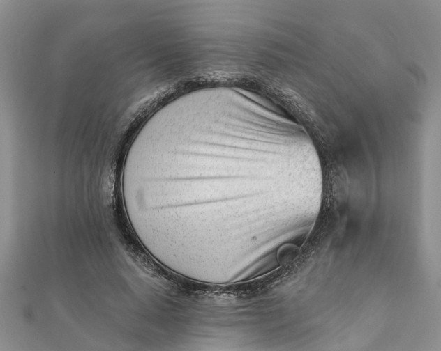 X0000112080640200908181242