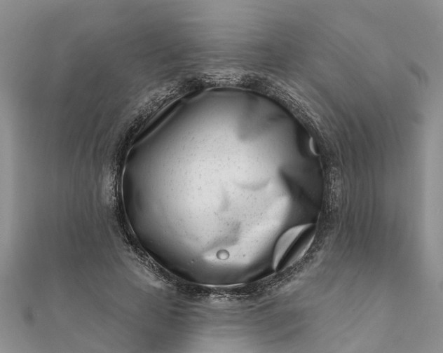 X0000112080641200908181242