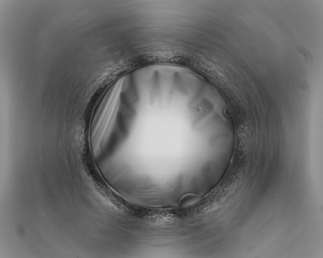 X0000112080642200908181242