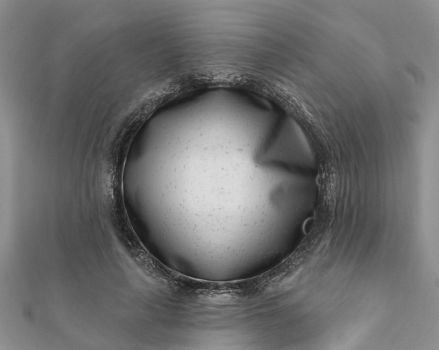 X0000112080643200908181242