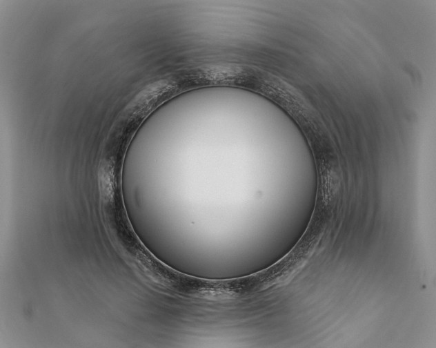 X0000112080644200908181242