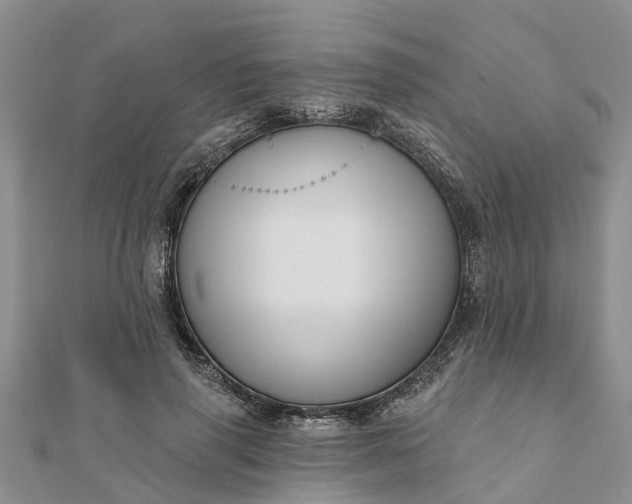 X0000112080645200908181242