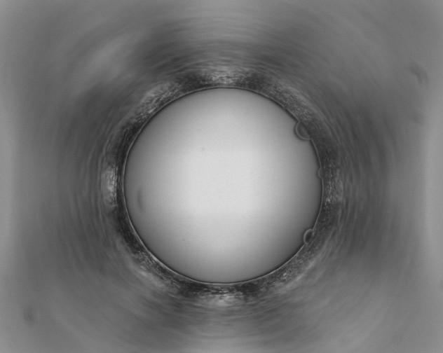 X0000112080646200908181242