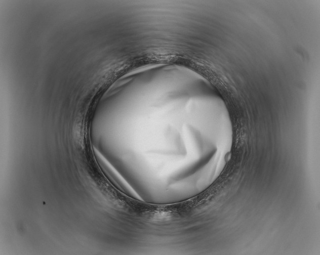 X0000112080647200908181242