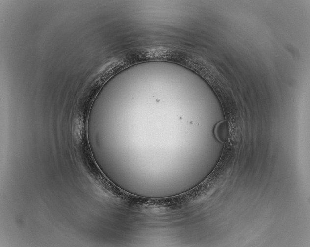 X0000112080648200908181243