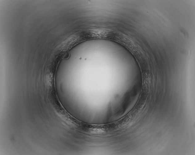 X0000112080649200908181243