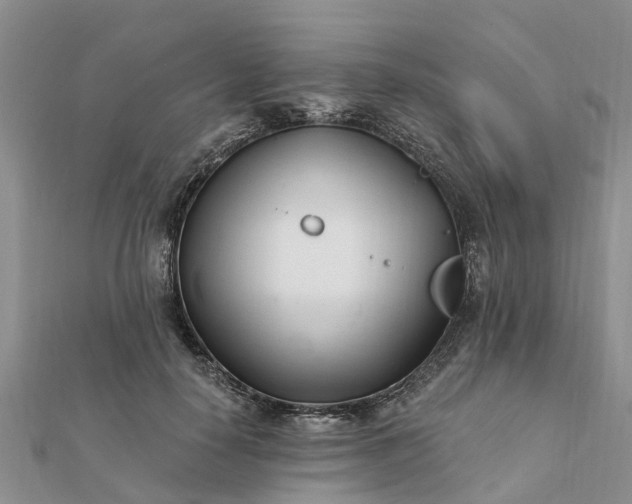 X0000112080650200908181243