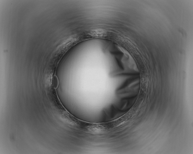 X0000112080652200908181243