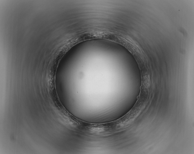 X0000112080653200908181243