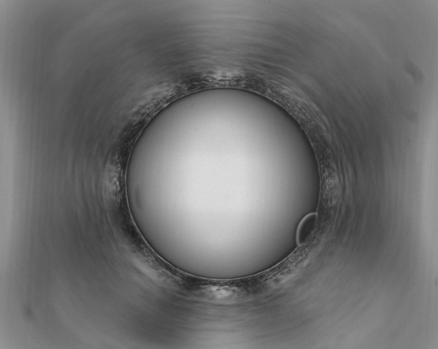 X0000112080654200908181243