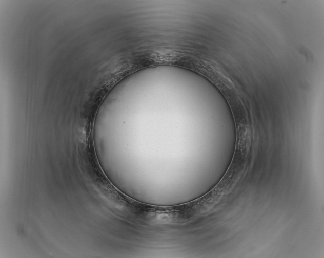 X0000112080655200908181243