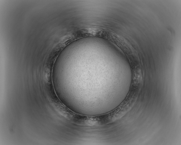 X0000112080656200908181243