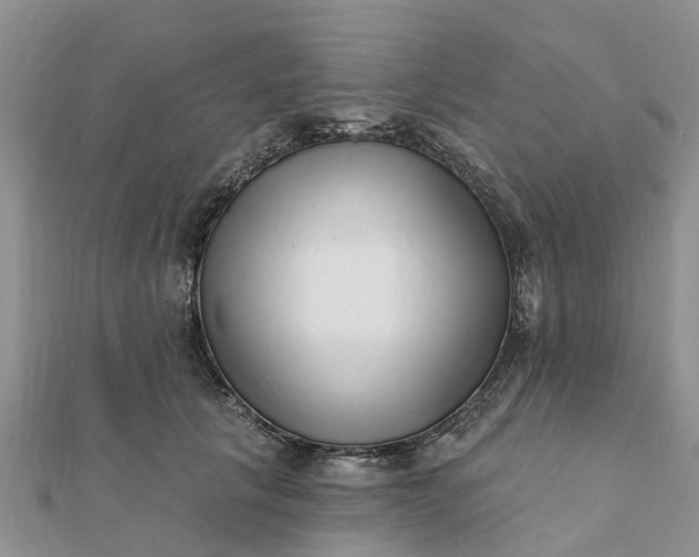 X0000112080657200908181243