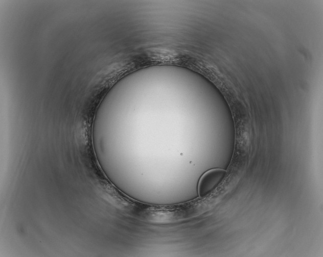 X0000112080658200908181243